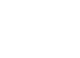 Damieus%20Technology%20Solutions